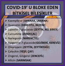Covid-19'u Bloke Eden Bitkisel Bileşikler