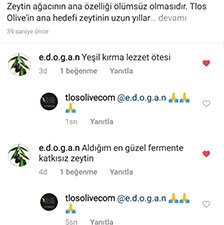 Tlos Olive Yorumlar