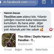 Tlos Olive Yorumlar