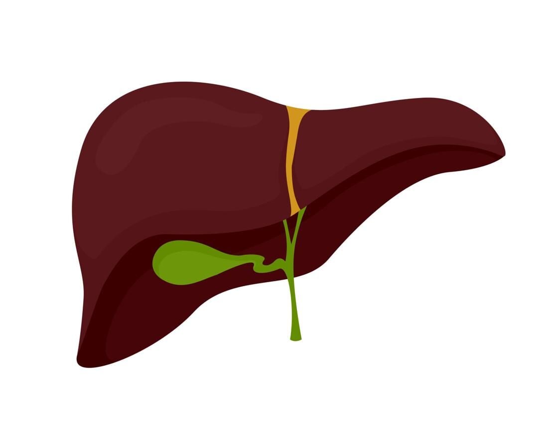Safra kesesi taşı tanısı alan ya da risk taşıyan kişiler zeytinyağının bu süreçte ne işe yaradığını merak ediyor. Bu yazı safra kesesi taşı oluşumunun mekanizmasını, belirtilerini ve neden kendiliğinden geçmediğini anlatıyor; yüksek polifenollü zeytinyağının CCK aktivasyonu, kolesterol dengesi ve anti-inflamatuar etki üzerinden safra sistemine katkısını bilimsel kaynaklarıyla ele alıyor. 