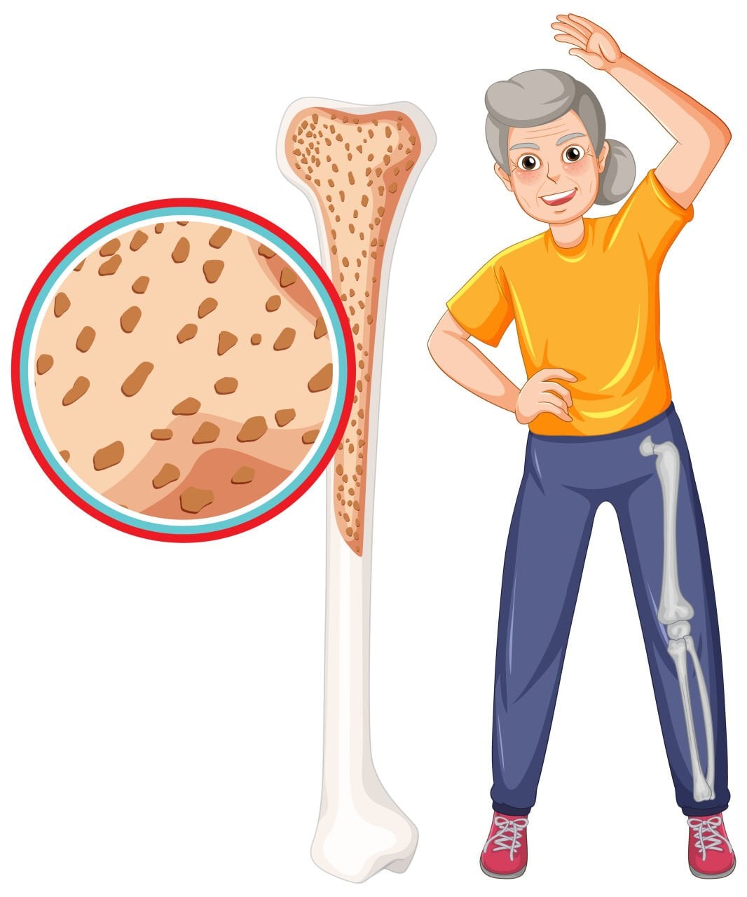 Menapoz Döneminde Zeytinyağı: Hormonlar, Kemikler ve Kalp