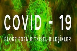Çok Güçlü Antiviral Bitkisel Bileşikler