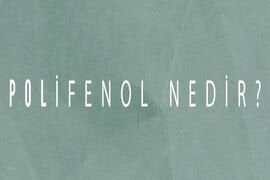 Polifenol nedir? Zeytinyağındaki polifenollerin faydalarını, etkilerini ve neden önemli olduğunu detaylıca öğrenin. Bilge Ağaç Dergisi'nde yayımlanan Ferhan Tolga Özen imzalı makale.