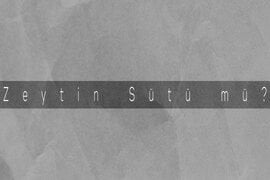 Zeytin Sütü son yıllarda piyasada sıkça duyulan bir kavram haline geldi. Peki gerçekten sandığınız kadar kaliteli ve sağlıklı mı? Biz neden Zeytin Sütü üretmiyoruz, hangi zeytinyağı sağlık için daha faydalıdır? Gelin beraber irdeleyelim.