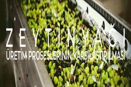 Soğuk sıkım aynı etiket altında iki çok farklı sistem içerir: 2 fazlı (modern, su eklenmeyen) ve 3 fazlı (eski kuşak). Polifenol, atıksu ve çevre açısından karşılaştırma. Çevre Bakanlığı ve TGK verileriyle.
