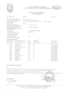 Zeytin Hanım Beauty Çok Yüksek Skualenli Zeytinyağı (Nemlendirici) - 40 ml