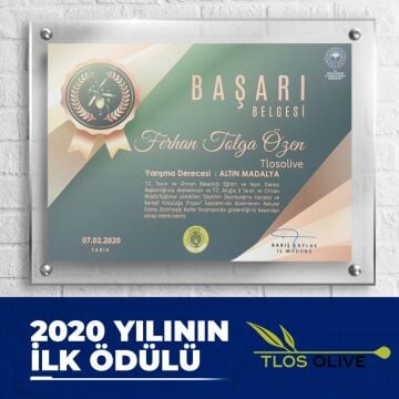 Zeytin Hanım Gold / Olgun Hasat / 5 lt Soğuk Sıkım Natürel Sızma Zeytinyağı  (<=0.8 Asit)