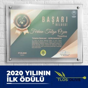 Zeytin Hanım Gold Çeşnili Natürel Sızma Zeytinyağı Seti