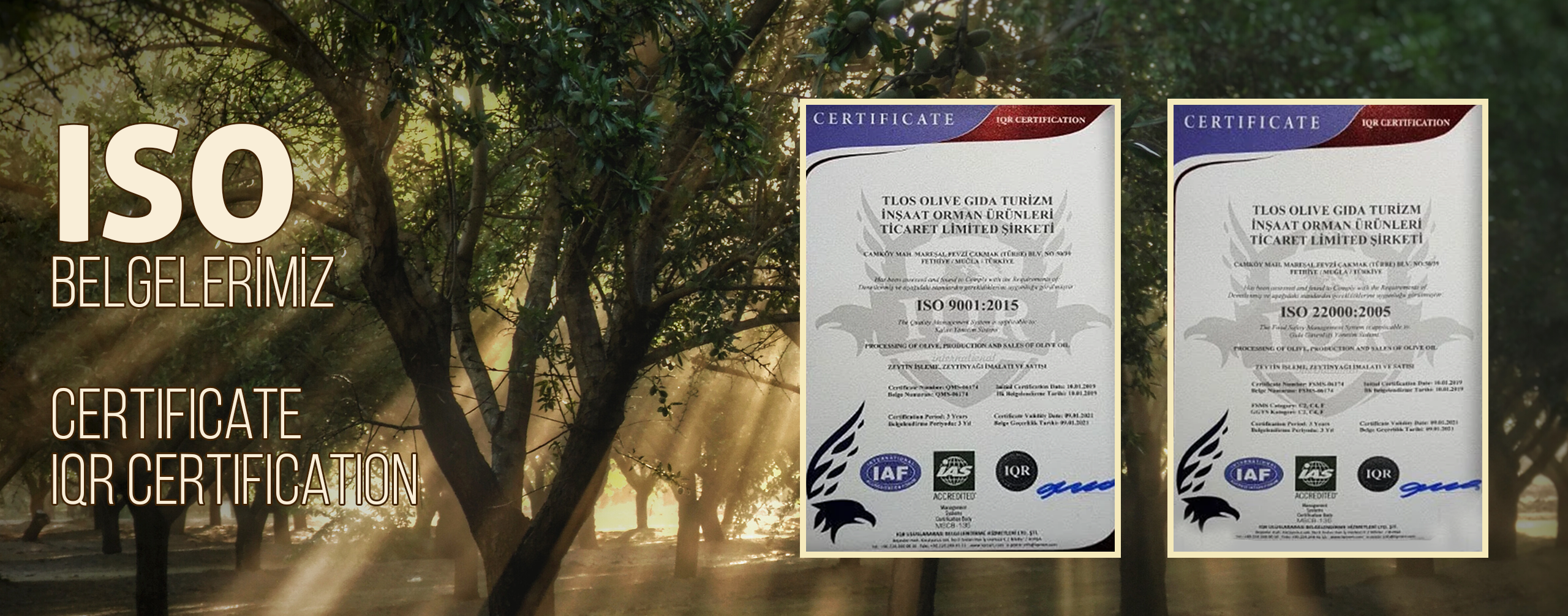 ISO Belgelerimiz