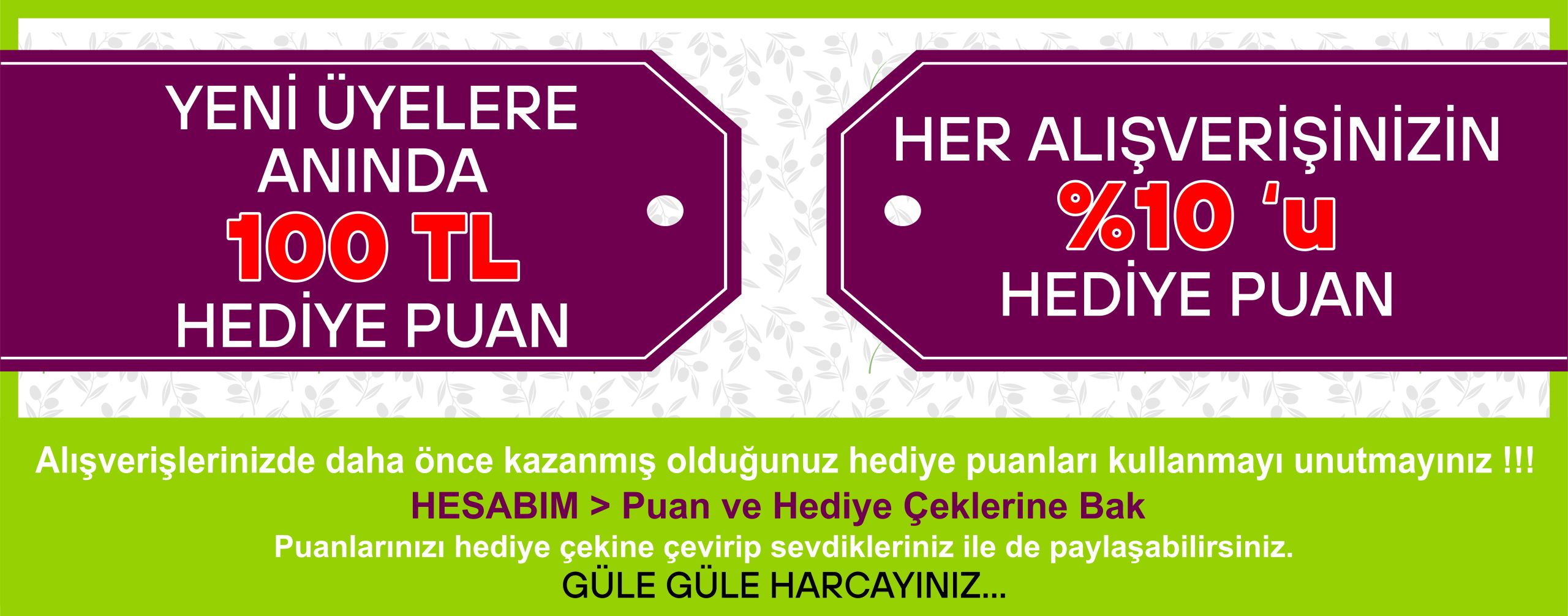 Hediye Puan